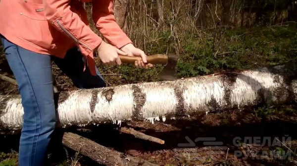 Как бесплатно добыть много березового дегтя